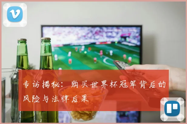 专访揭秘：购买世界杯冠军背后的风险与法律后果