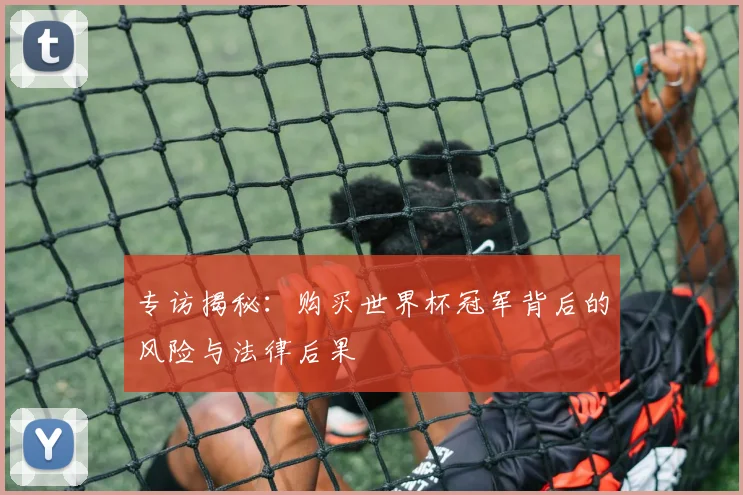 专访揭秘：购买世界杯冠军背后的风险与法律后果