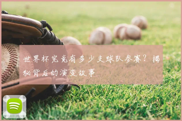 世界杯究竟有多少支球队参赛？揭秘背后的演变故事