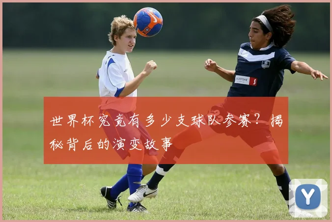世界杯究竟有多少支球队参赛？揭秘背后的演变故事