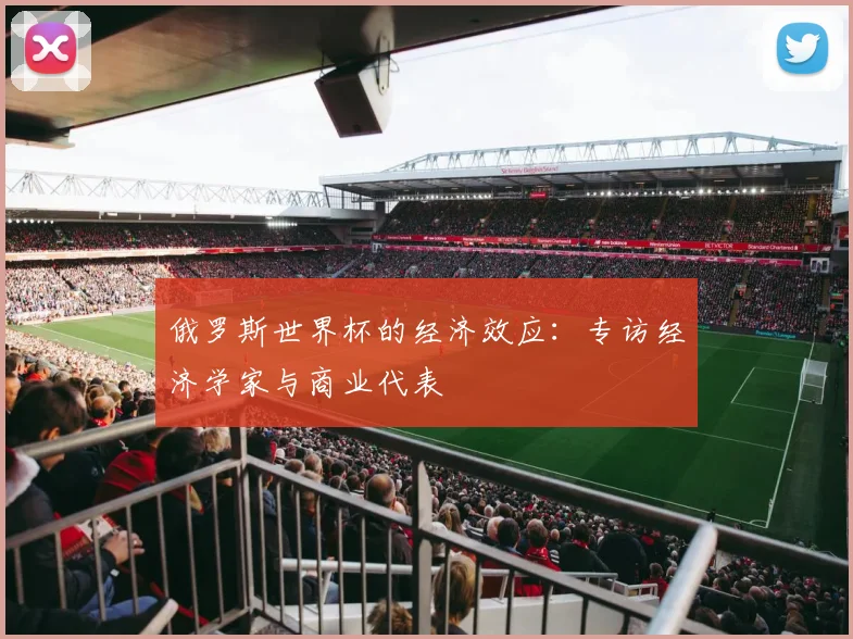 俄罗斯世界杯的经济效应：专访经济学家与商业代表